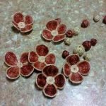 Flores y bolas