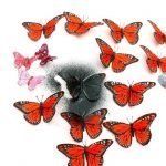 Coloreamos mariposas en un color
