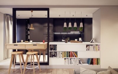 Diseño de un estudio de cocina +115 fotos de ejemplos de interiores.