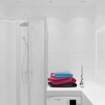 Baño con ducha y lavadora.