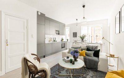 Diseño de apartamentos de 50 metros cuadrados +110 ejemplos de fotos y 2 proyectos de interiores