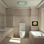 TV frente al baño