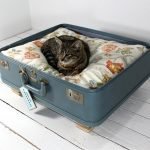 Gato en una maleta