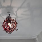 Araña de ramitas
