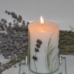 Plantas en una vela