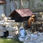 Estanque con un molino en el sitio