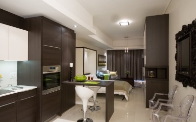 Diseño cocina salón 17 sq. m. + 40 fotos de ideas interiores
