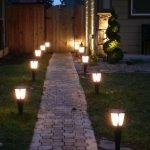 Luces a lo largo de la pista