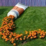 Tubo con un rastro de flores