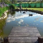 Estanque con un puente y patos