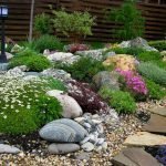 Exposición de piedra y flores.