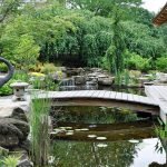Puente sobre un estanque casero
