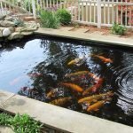 Pequeño estanque de peces