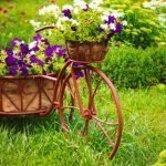 Bicicleta con petunias