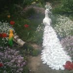 Pavo real