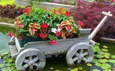 Decoración de jardín de bricolaje +75 fotos