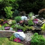 Composición de piedras y plantas.