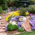 Combinación de stonecrop con bordillo septiembre