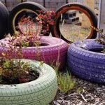 Ruedas multicolores