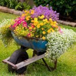 Cama de flores de un auto