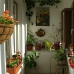Flores en la pared