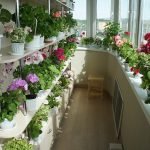 Estantes con flores