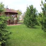 Gazebo en los arboles