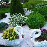 Cisnes en el jardín de flores