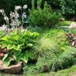 Combinación de plantas diversas.
