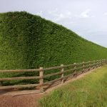 Cercado de tableros y plantas