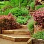 Escalones de madera en el jardín