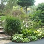 Anfitriones de jardín