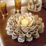 Rosa de conchas