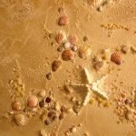 Estrella de mar y conchas en la pared