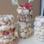 Conchas en jarrones