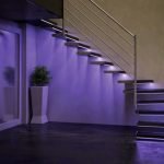 Flor debajo de las escaleras