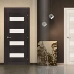 Puerta oscura y clara