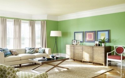 Fondos de pantalla verdes en el interior +75 fotos