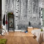 Bosque de abedules en el interior