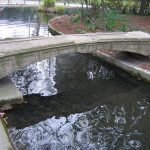 Estanque con puente