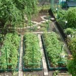 Caminos de piedra en el jardín