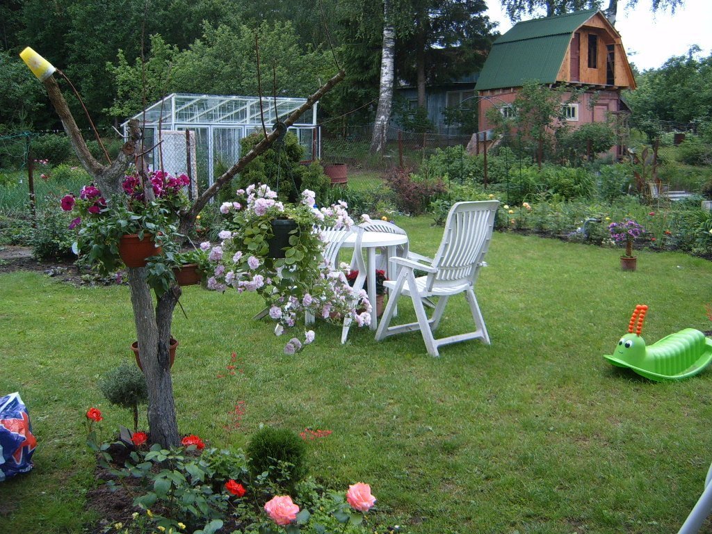 Dizajn mjesto 8 hektara