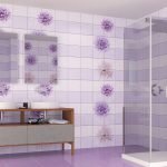 Ducha de cabina de vidrio