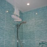Delfines en la pared