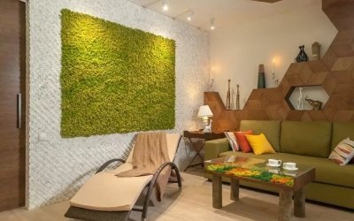 Musgo en el interior: 75 ideas para solicitar decoración