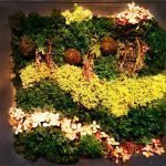 La combinación de flores y musgo.