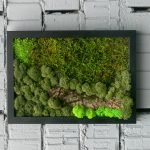 Pared de ladrillo con una imagen de musgo