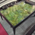 Mesa oscura con musgo