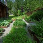 Jardín cerca de la casa