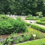 Jardín botánico